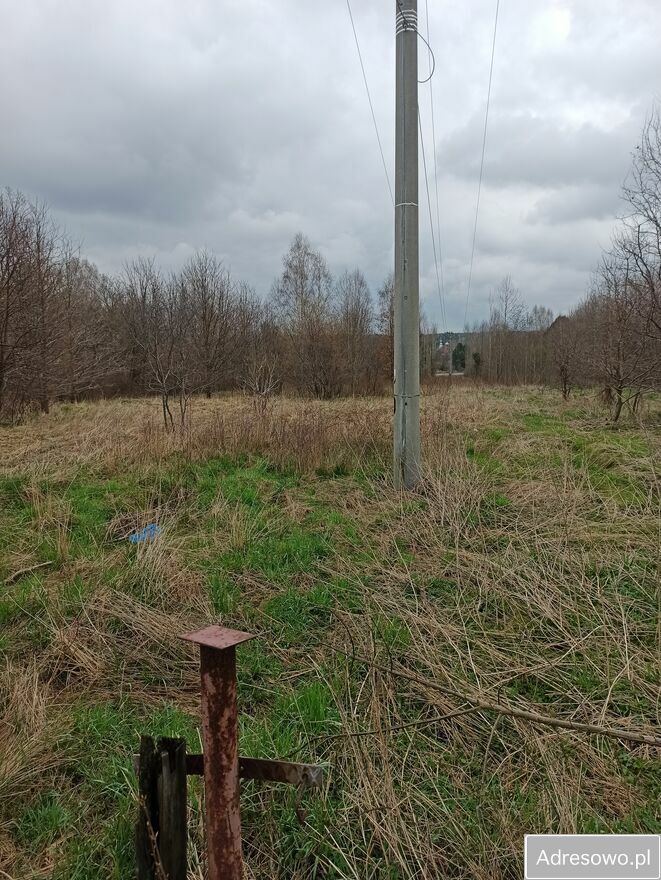 Działka rolna Płaczków. Zdjęcie 5