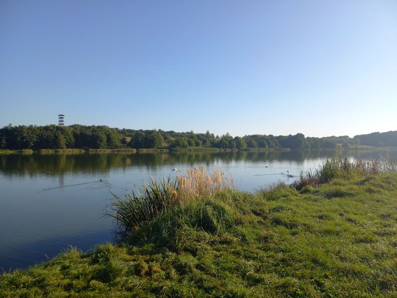 Działka budowlana Mściwojów. Zdjęcie 6