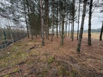 Działka budowlana Bilska Wola Karolinów. Zdjęcie 3