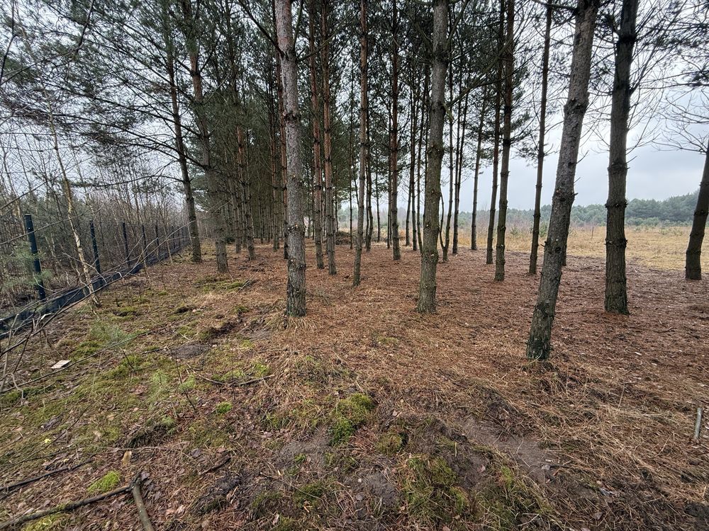 Działka budowlana Bilska Wola Karolinów. Zdjęcie 4