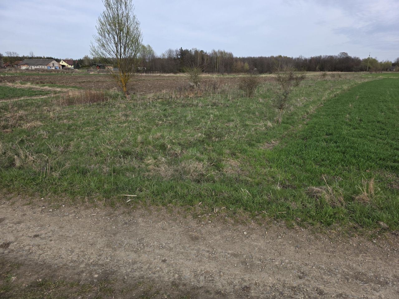 Działka rolna Krzemienica Górki. Zdjęcie 2