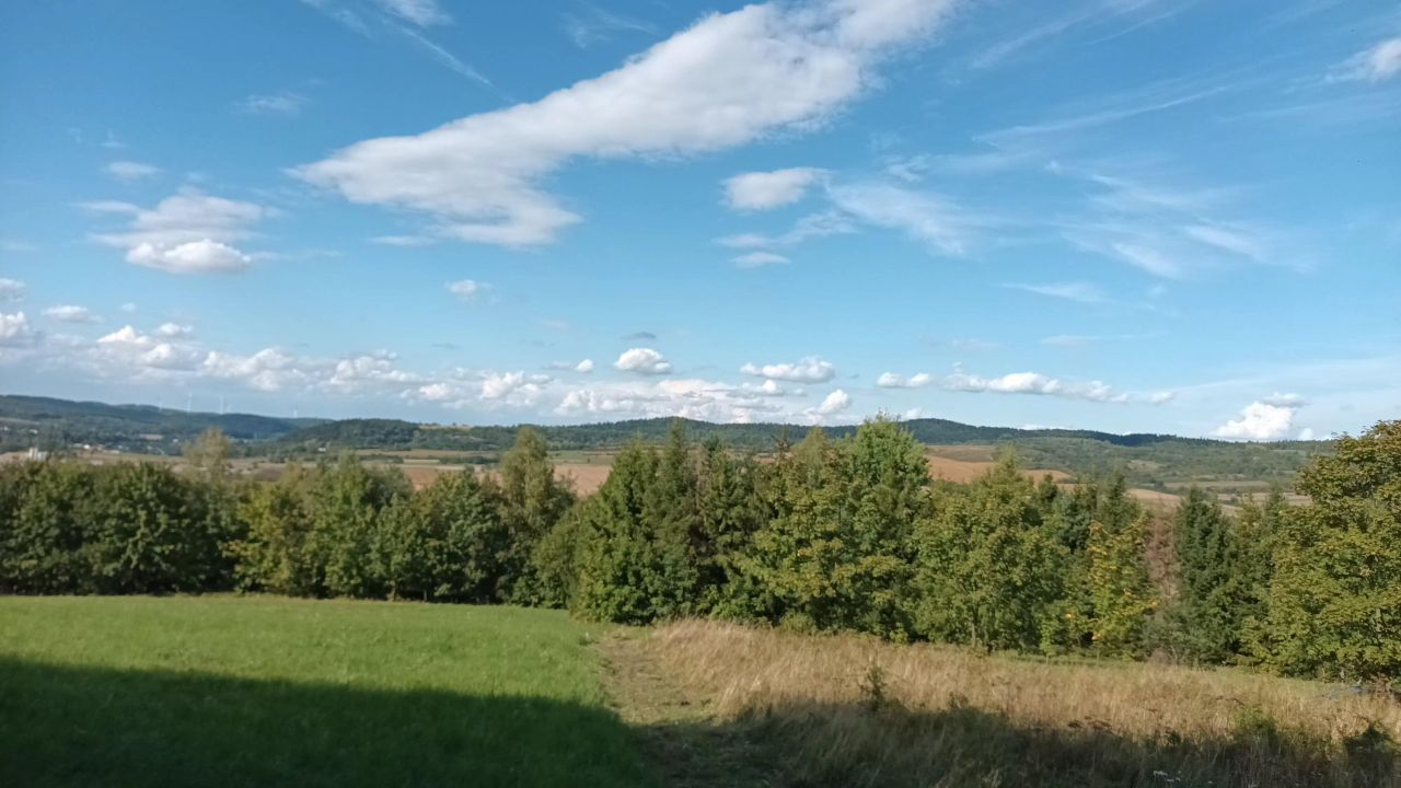 Działka rolna Cergowa. Zdjęcie 3