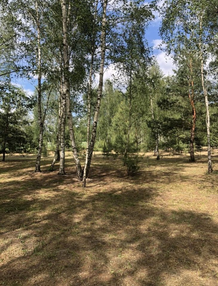 Działka rolno-budowlana Nowy Lubusz. Zdjęcie 3