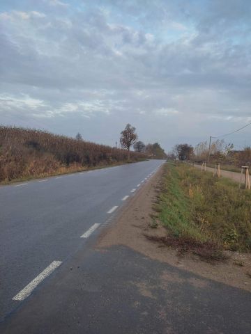 Działka rolno-budowlana Maleczewo. Zdjęcie 1