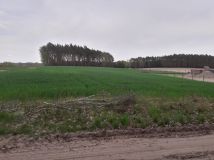 Działka rolna Potrzanowo. Zdjęcie 3