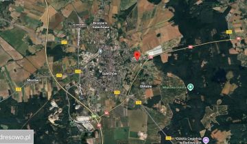 Hala/magazyn Krężoły, ul. Wolsztyńska