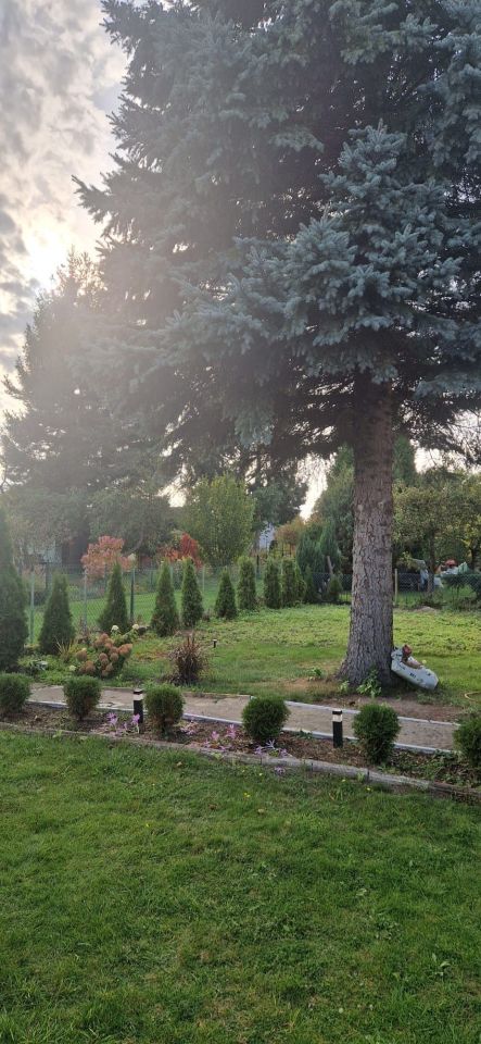 Działka rod Szczecin Krzekowo. Zdjęcie 4