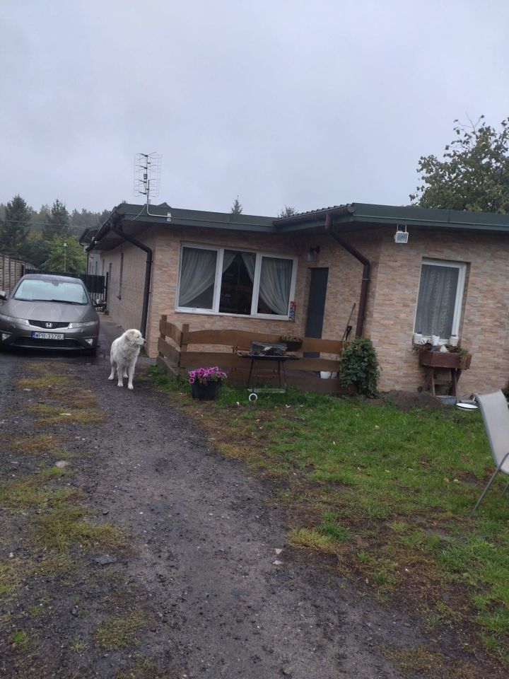 bliźniak Korytów. Zdjęcie 8