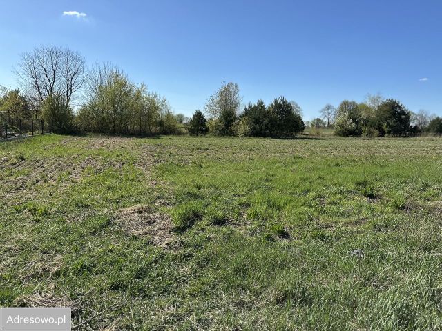 Działka budowlana Wiewiórczyn, ul. Józefa Hallera. Zdjęcie 1