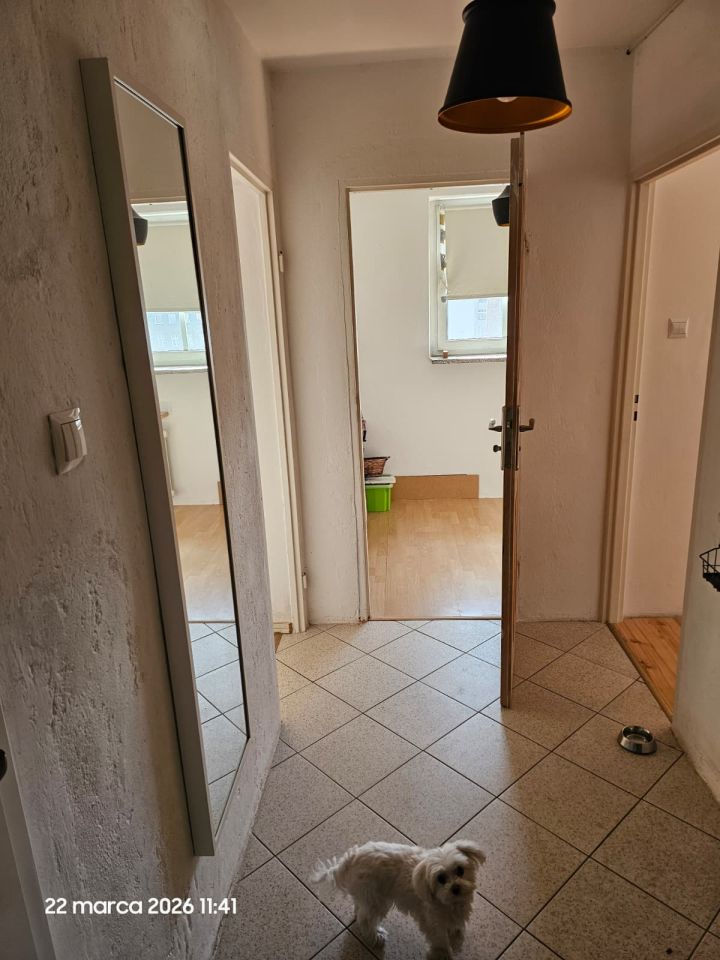 Mieszkanie 2-pokojowe Wrocław Śródmieście, ul. Stanisława Dubois. Zdjęcie 5