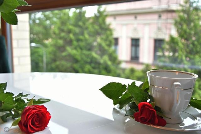 Mieszkanie 2-pokojowe Wrocław Stare Miasto, ul. Księcia Witolda. Zdjęcie 3