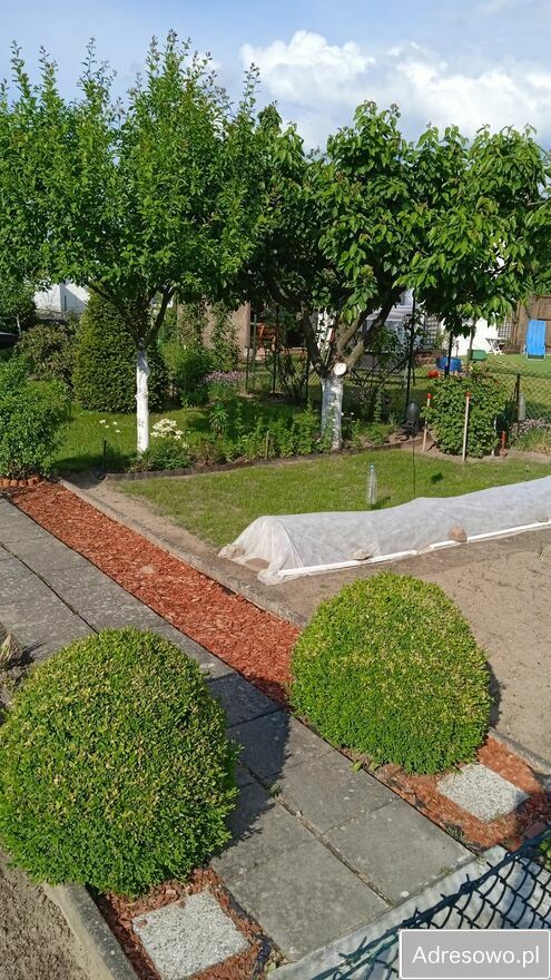 Działka rod Gorzów Wielkopolski, ul. Myśliborska. Zdjęcie 3