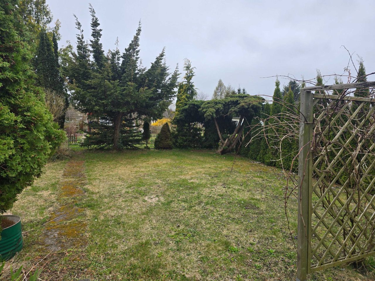 Działka rod Malbork. Zdjęcie 7