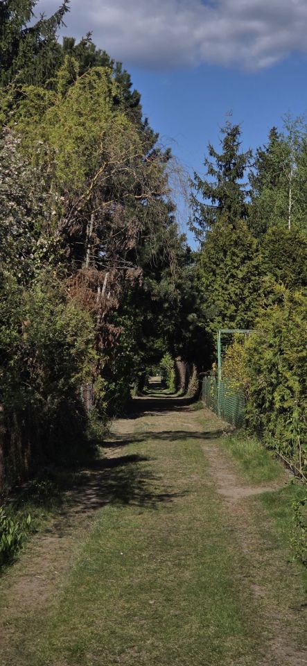 Działka rod Warszawa Targówek. Zdjęcie 5