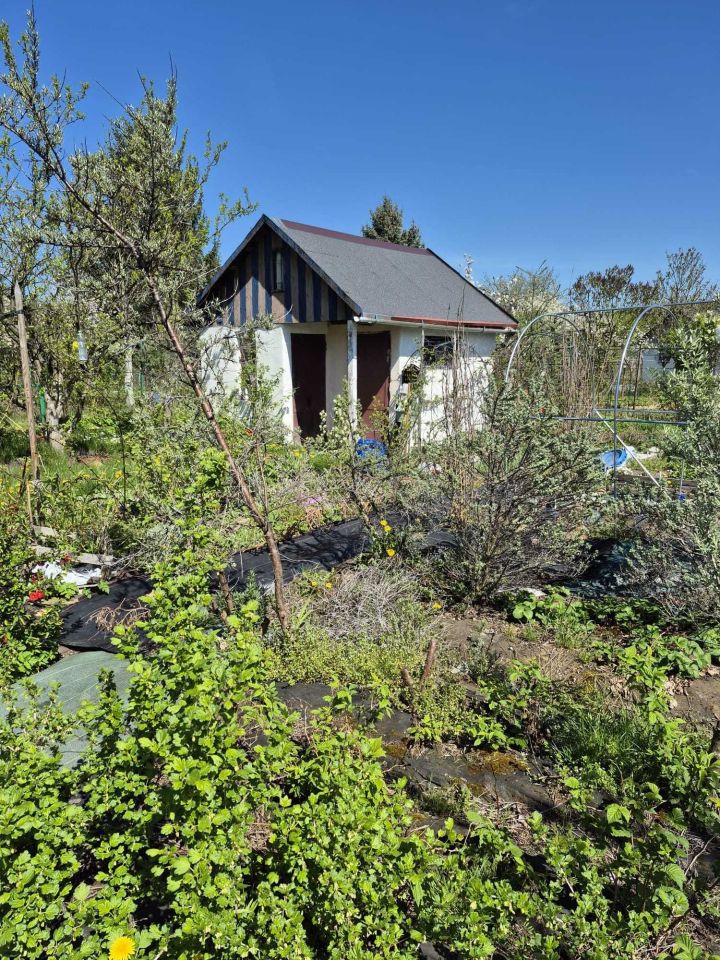 Działka rod Jelenia Góra Zabobrze. Zdjęcie 3