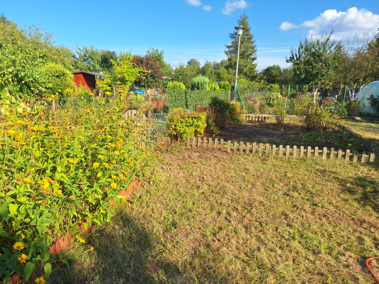 Działka rod Płock Radziwie, ul. Dobrzykowska. Zdjęcie 8