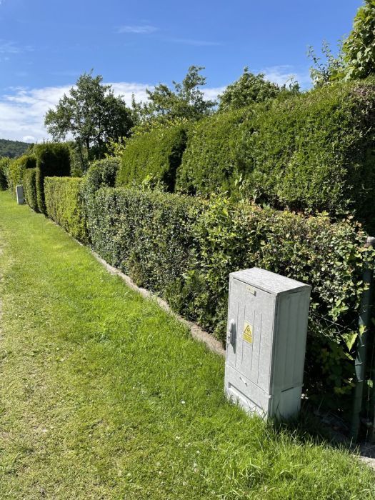 Działka rod Gdynia Cisowa, ul. Hutnicza. Zdjęcie 10