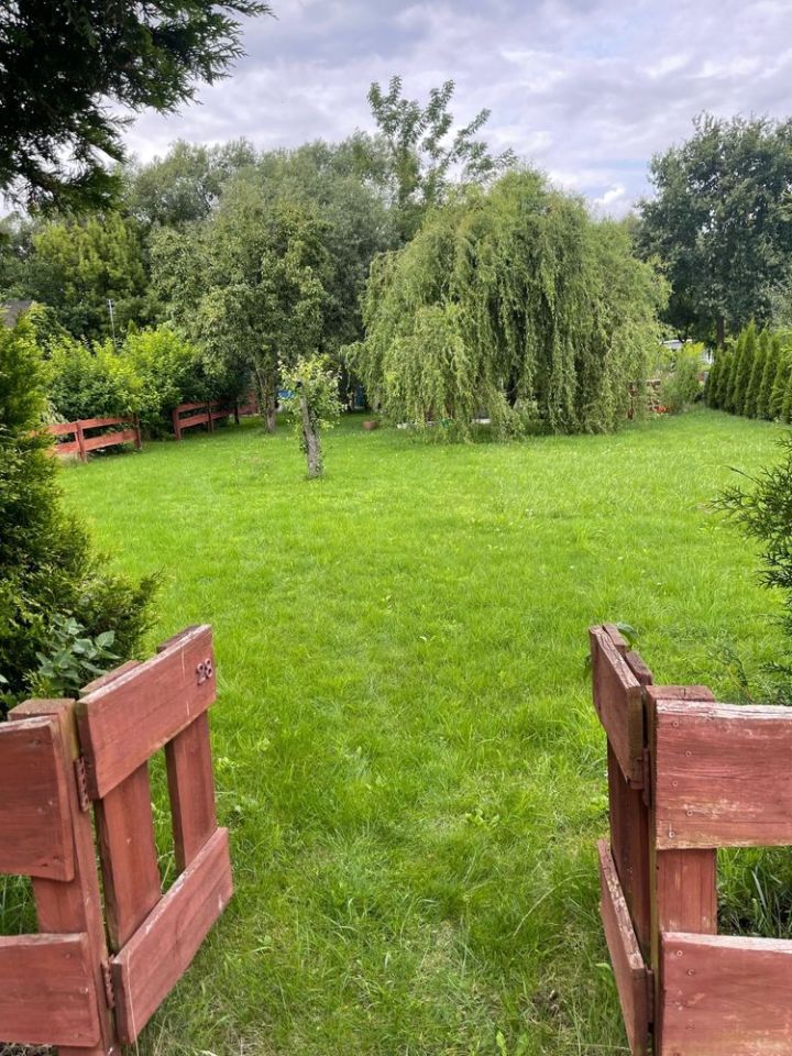 Działka rod Brodnica, ul. Sienkiewicza