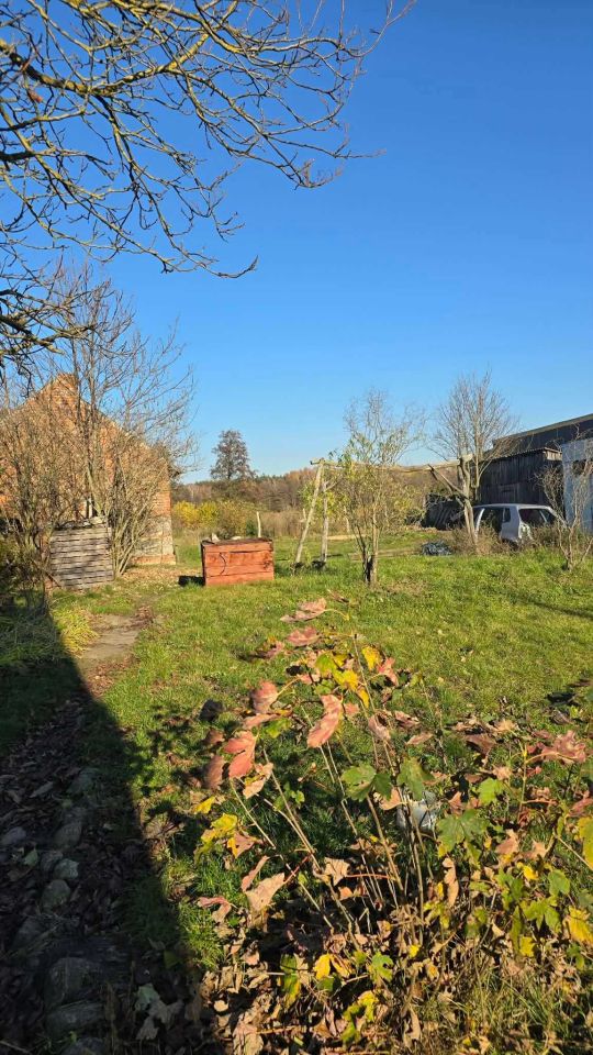 Działka rolno-budowlana Linie. Zdjęcie 4