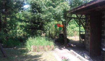 Działka rod Sosnowiec Kazimierz, ul. Konstantego Ildefonsa Gałczyńskiego