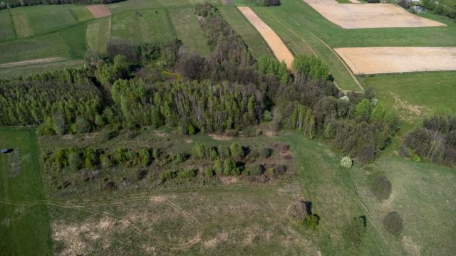 Działka rolna Laskówka. Zdjęcie 8