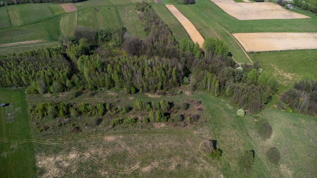 Działka rolna Laskówka. Zdjęcie 8