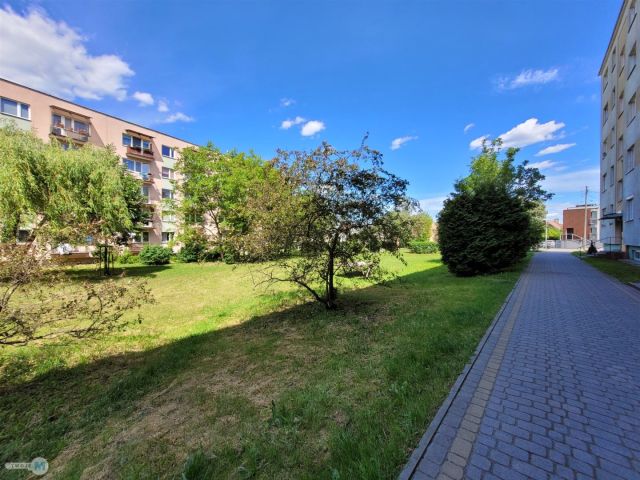Mieszkanie 3-pokojowe Kielce KSM, ul. Wielkopolska. Zdjęcie 12