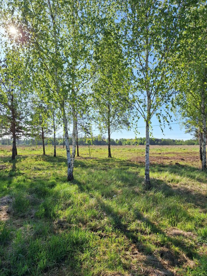 Działka Ślądkowice. Zdjęcie 4