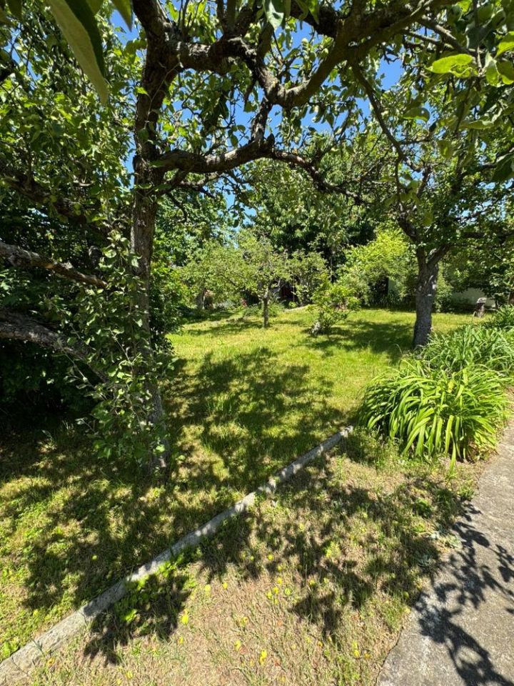 Działka rod Nysa, ul. Adama Mickiewicza. Zdjęcie 5