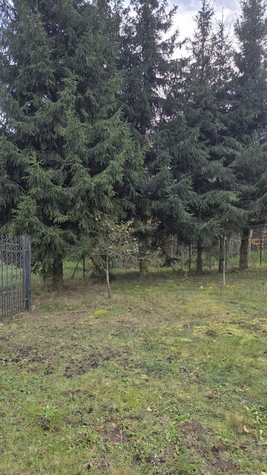 Działka budowlana Lasowiec. Zdjęcie 5