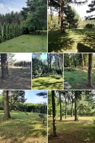 Działka budowlana Magdalenów, ul. 8 Wspaniałych. Zdjęcie 2