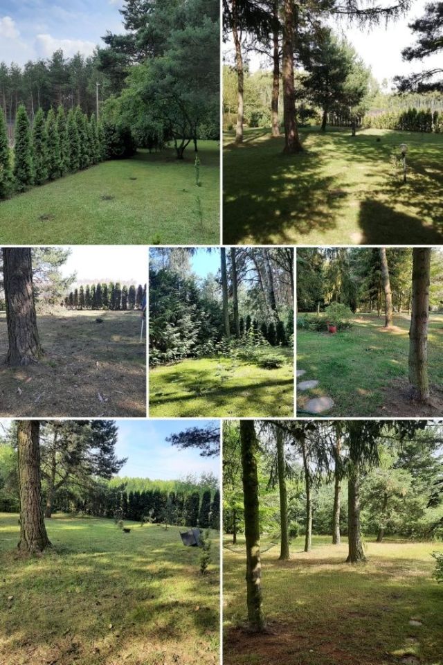 Działka budowlana Magdalenów, ul. 8 Wspaniałych. Zdjęcie 3