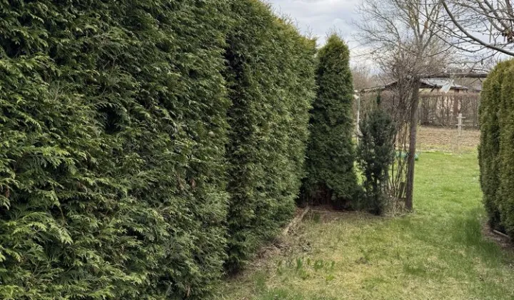 Działka rod Przysucha