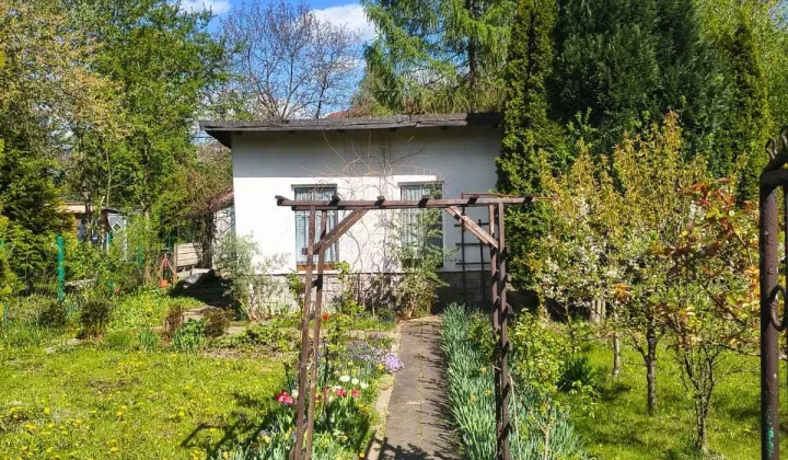 Działka rod Gliwice Śródmieście