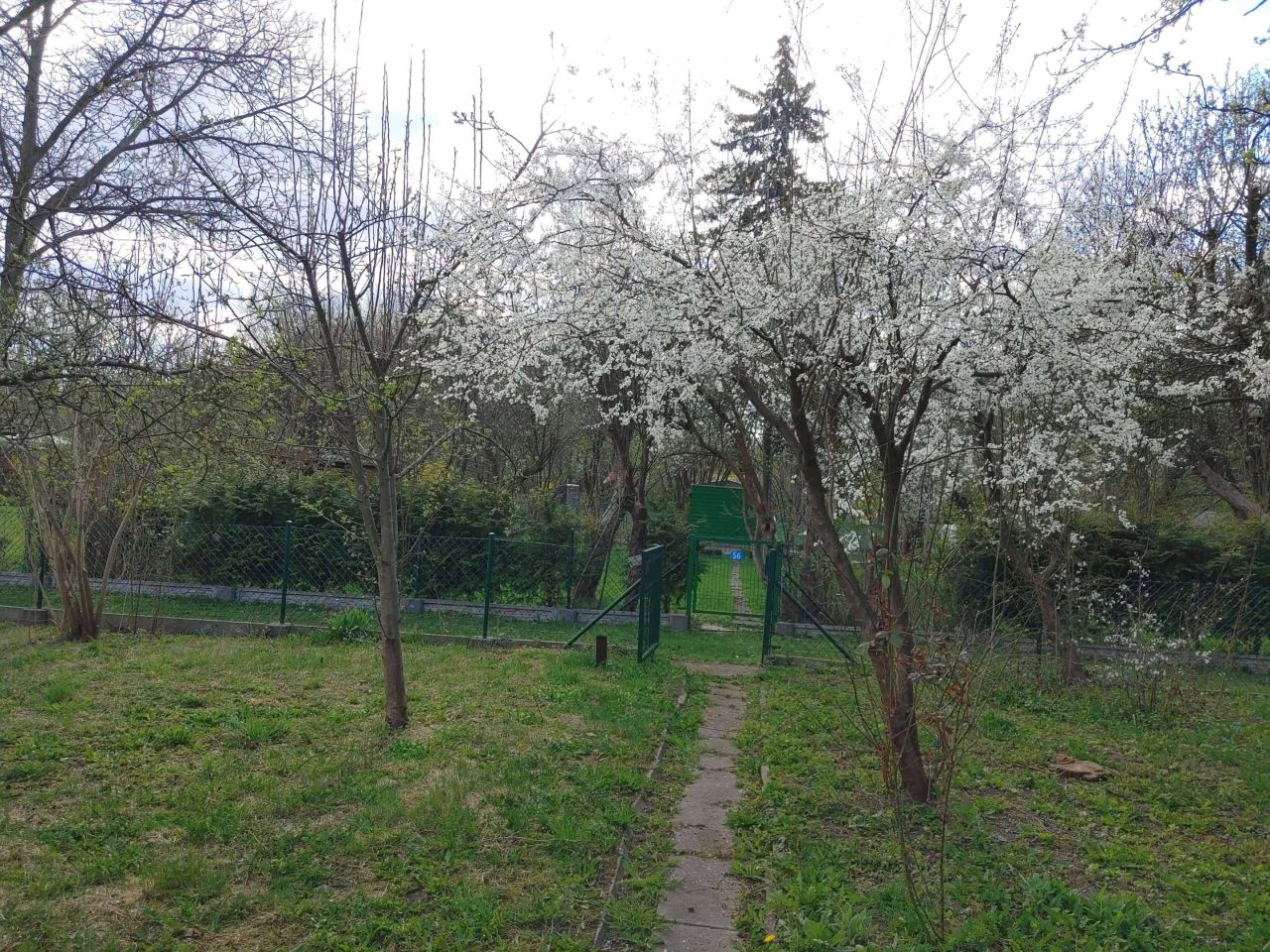 Działka rod Warszawa Saska Kępa. Zdjęcie 8