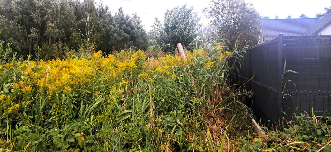 Działka budowlana Budy-Grzybek, ul. Alpejska. Zdjęcie 12