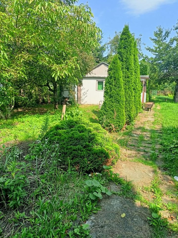 Działka rod Sosnowiec. Zdjęcie 1