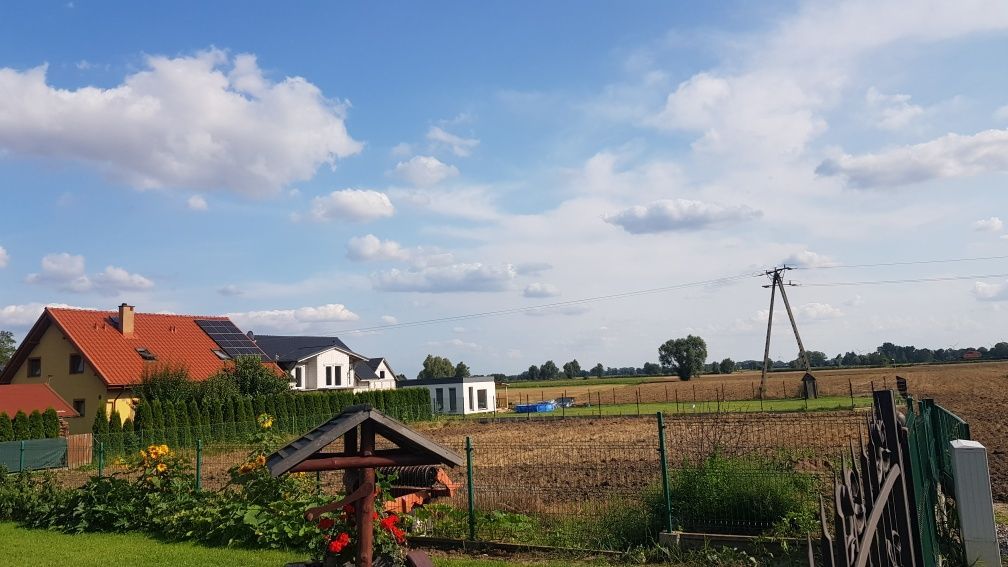 Działka rolno-budowlana Stegna. Zdjęcie 2