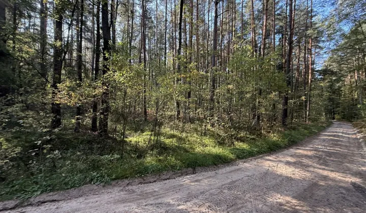 Działka budowlana Żarki-Letnisko, ul. Wiejska