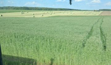 Działka rolno-budowlana Nowe Gierałty