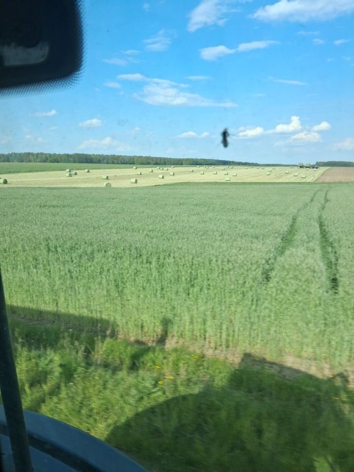 Działka rolno-budowlana Nowe Gierałty