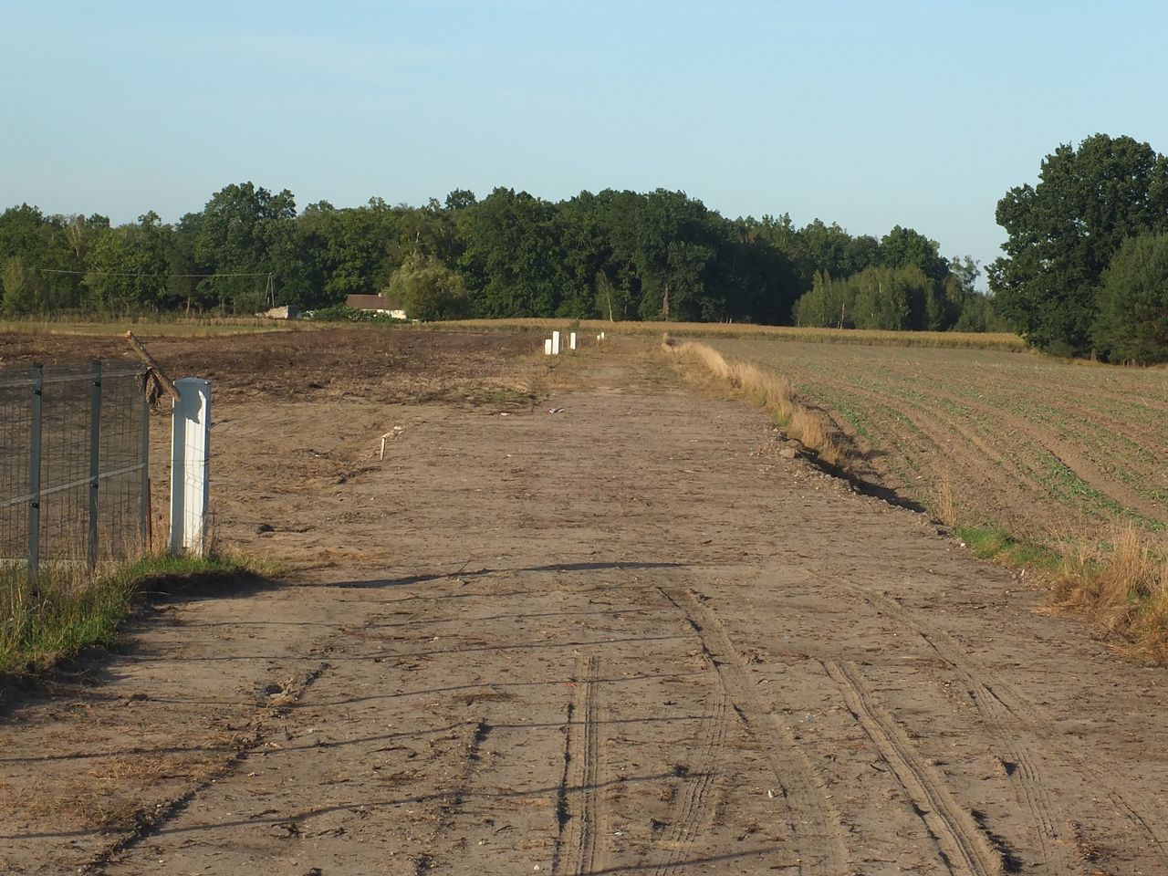 Działka budowlana Janów Ruszki. Zdjęcie 8