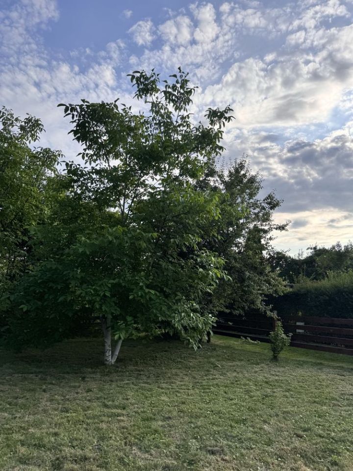 Działka rod Matysówka. Zdjęcie 6