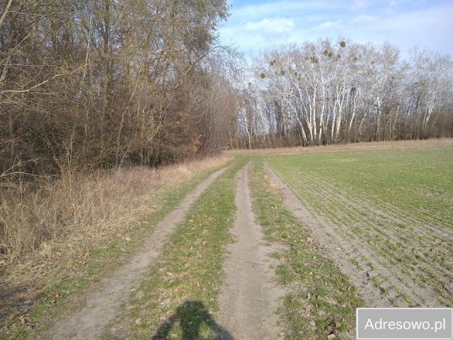 Działka rekreacyjna Wólka Nadrybska. Zdjęcie 1