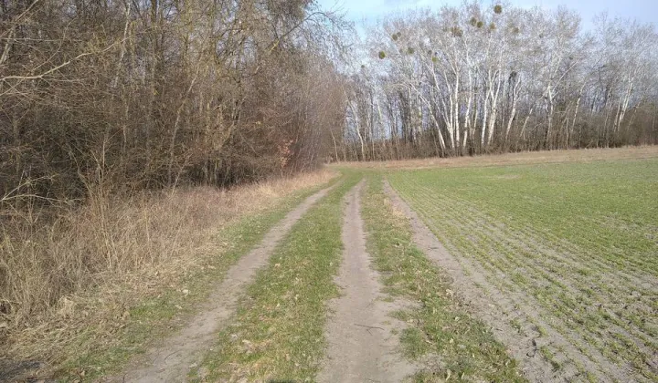 Działka rekreacyjna Wólka Nadrybska