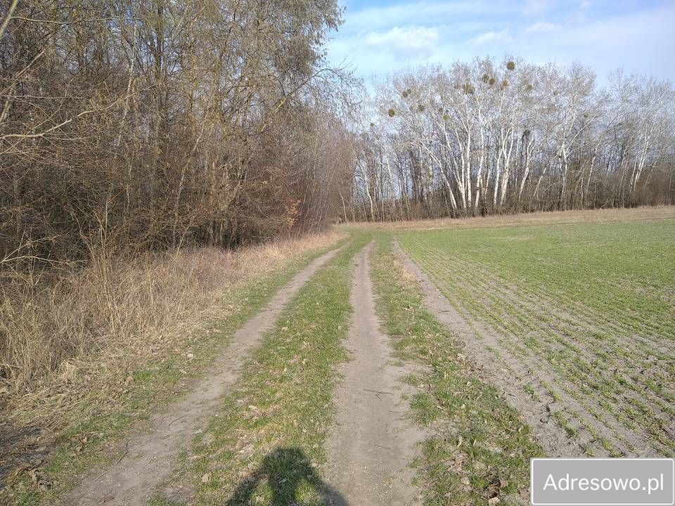 Działka rekreacyjna Wólka Nadrybska. Zdjęcie 1