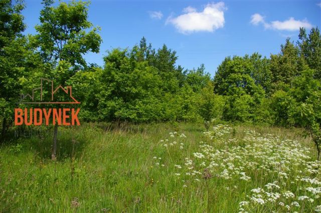 Działka siedliskowa Jeżyce. Zdjęcie 15