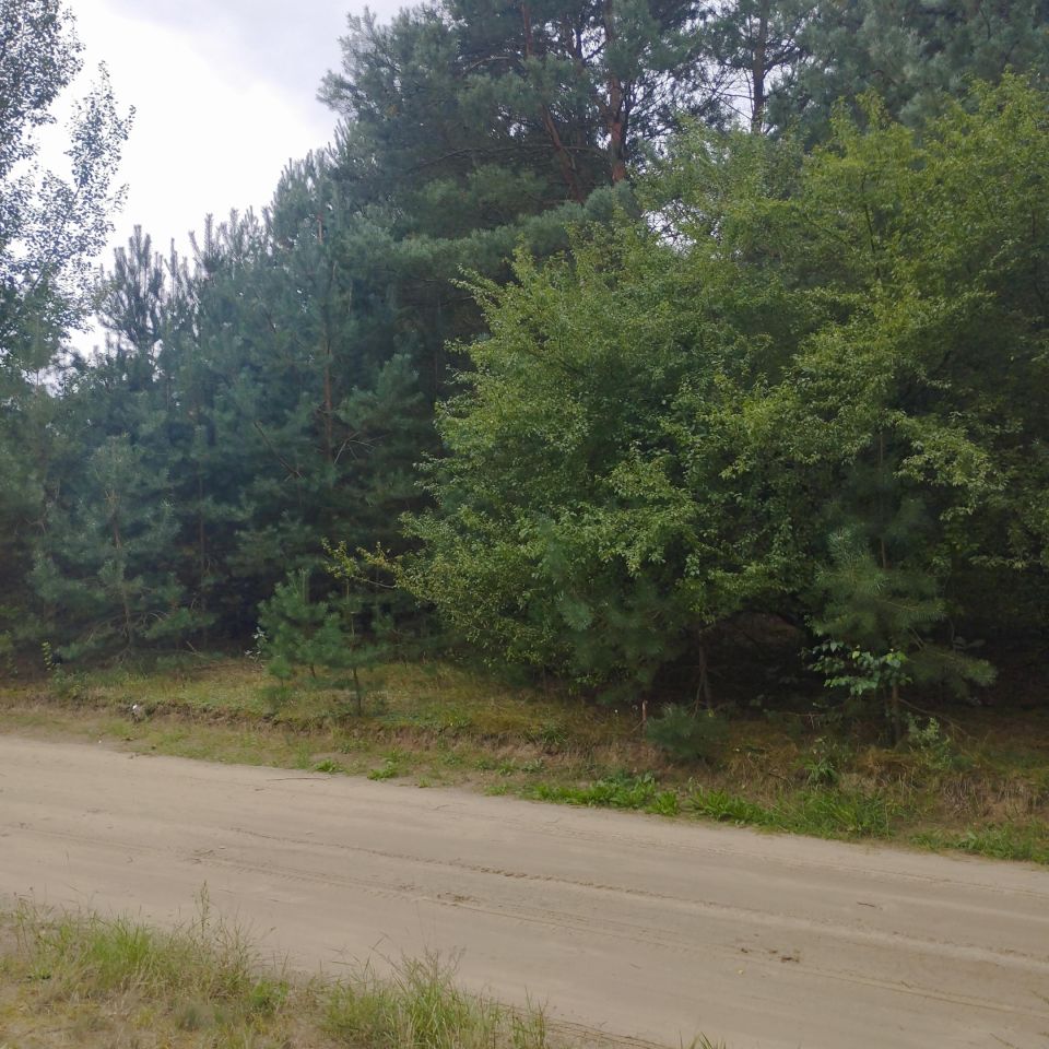 Działka budowlana Nagodów. Zdjęcie 6