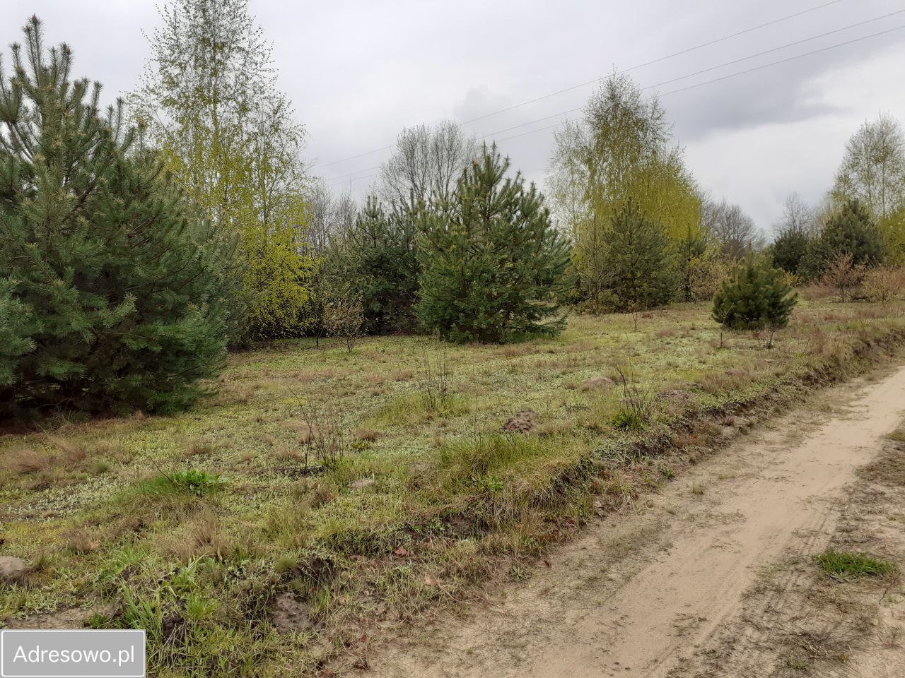 Działka rolno-budowlana Juliopol. Zdjęcie 2