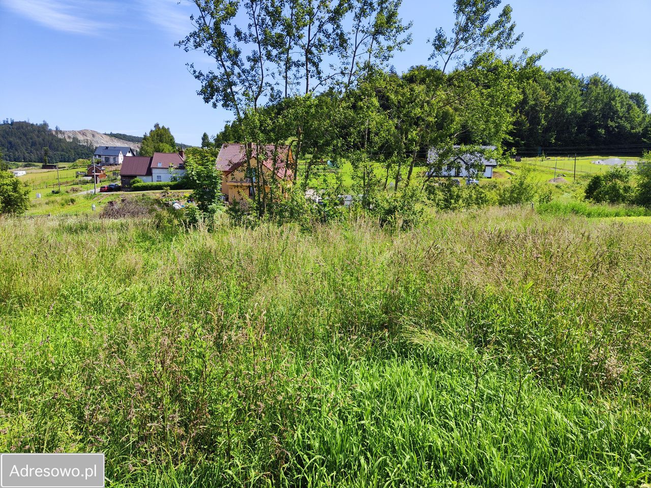 Działka budowlana Dzikowiec. Zdjęcie 4